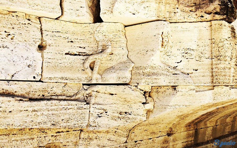 Il serpente sacro isola Tiberina