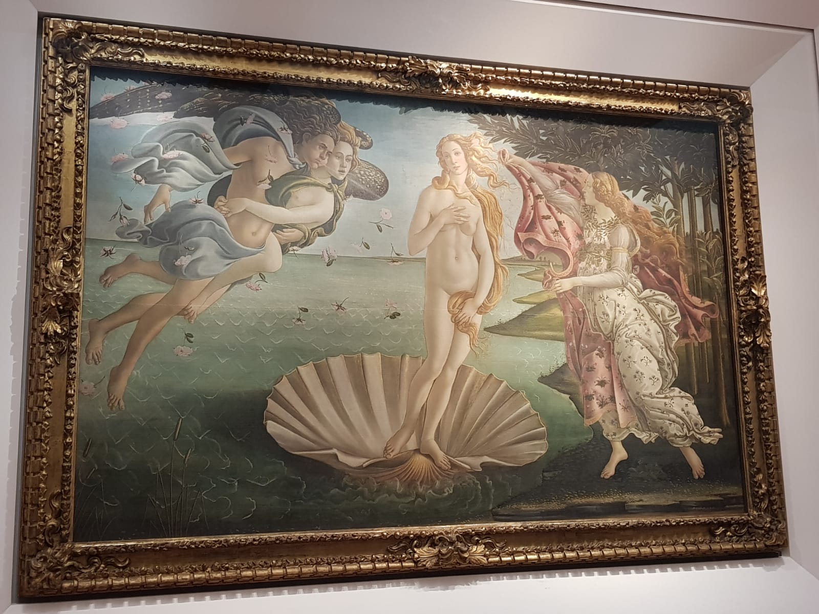 Firenze una meravigliosa esperienza di due giorni. Venere di Botticelli